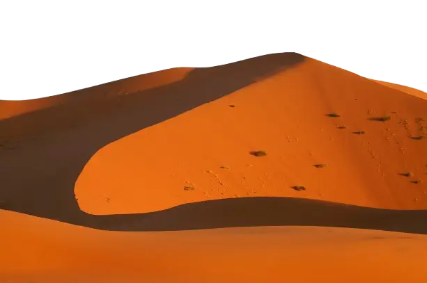 Sandboarding Erg Chigaga