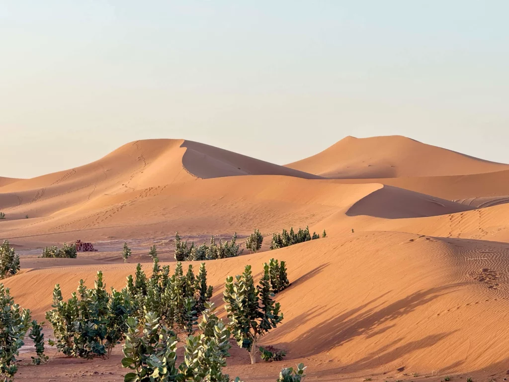 Erg Chigaga vast Sahara dunes landscape Morocco