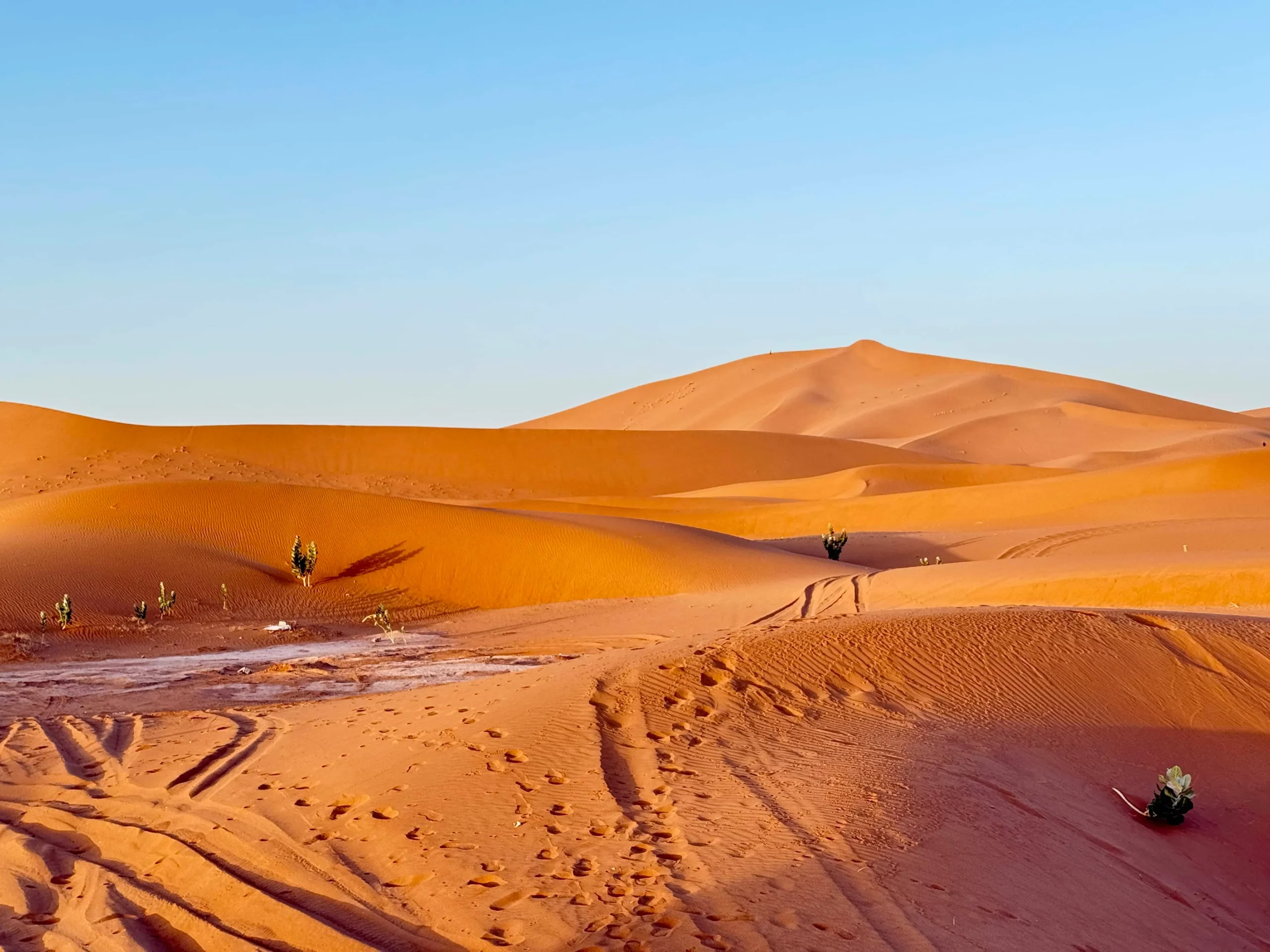 Morocco Luxury Camp Agafay Desert