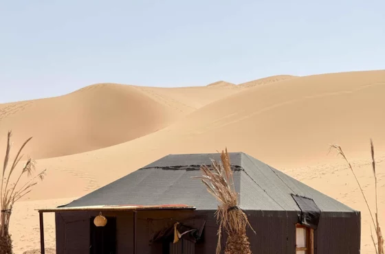 Morocco Desert Camp: Your Complete Guide to Sleeping Under the Sahara Stars