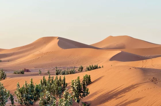Majestic 4 Days Desert Tour from Marrakech to Erg Chigaga