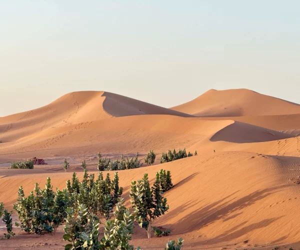 Majestic 4 Days Desert Tour from Marrakech to Erg Chigaga